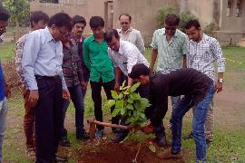 Vruksharopan 6-8-2014 